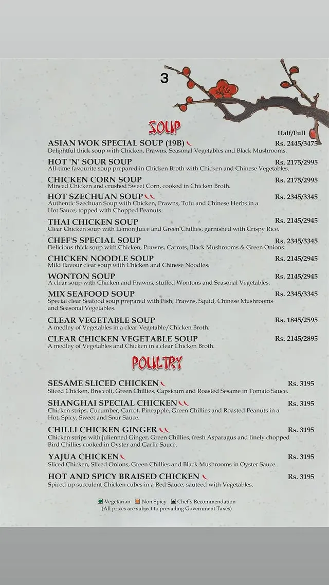 Asian Wok menu, page 8
