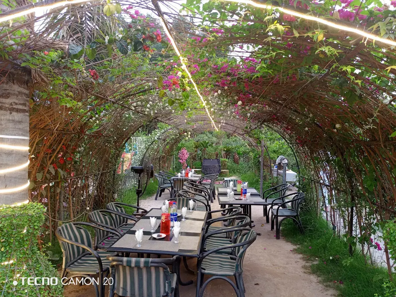 Inside The Garden Spice, Thokar / Green Forts